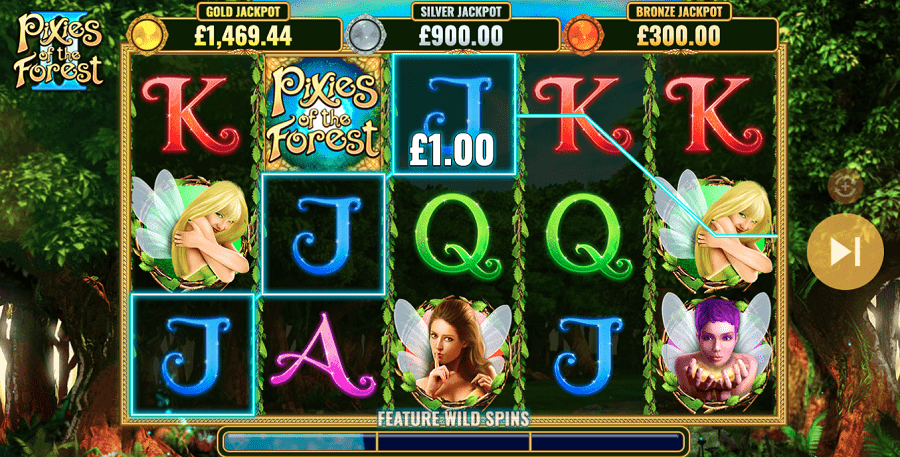 Features and Bonuses Slot Pixies of the Forest